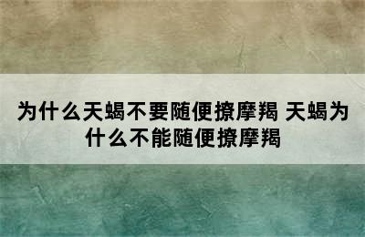 为什么天蝎不要随便撩摩羯 天蝎为什么不能随便撩摩羯